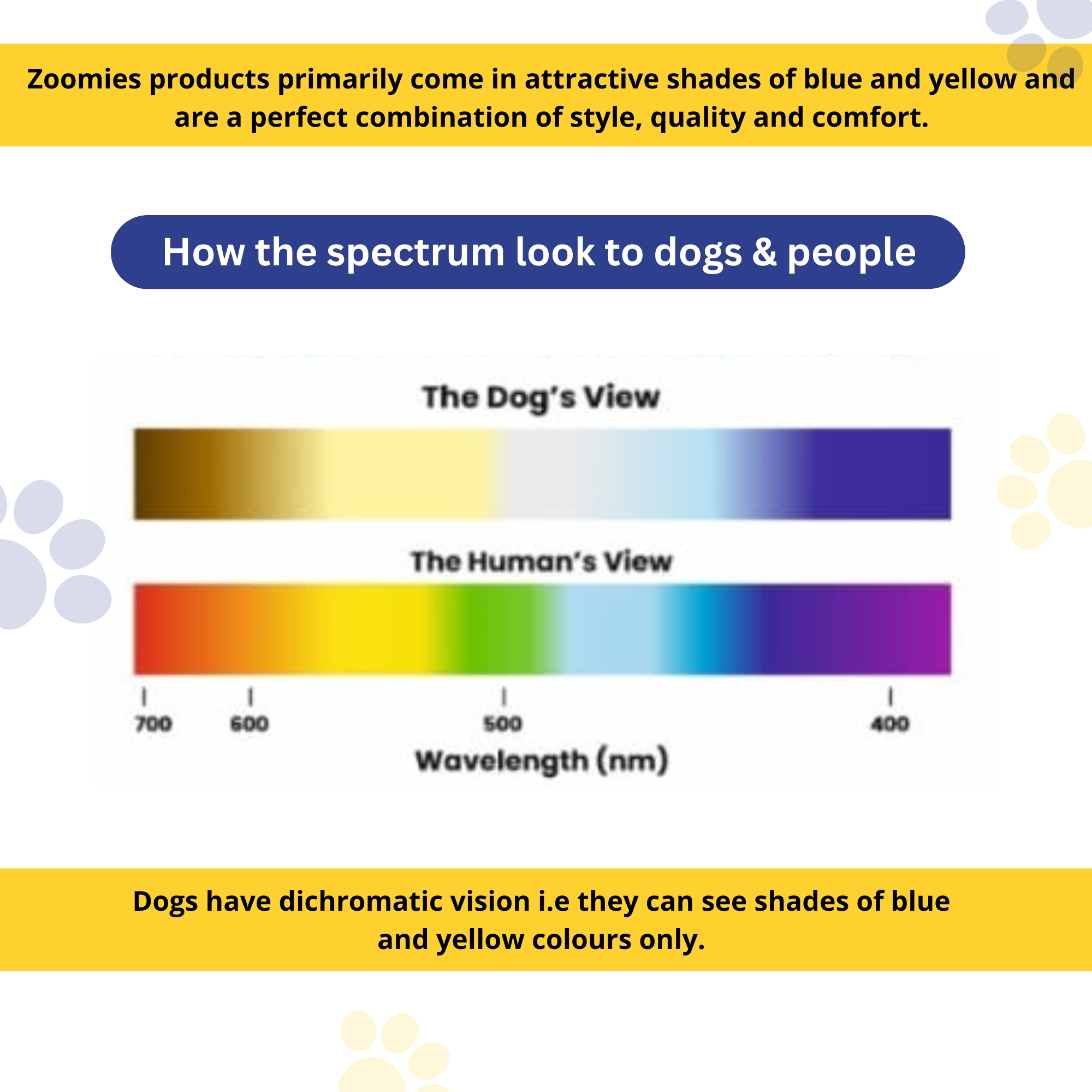 myzoomies-product-cotton-dog-leash–blue-06