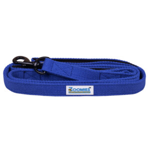 Leash