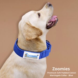 myzoomies-product-martingle-collar-blue-04