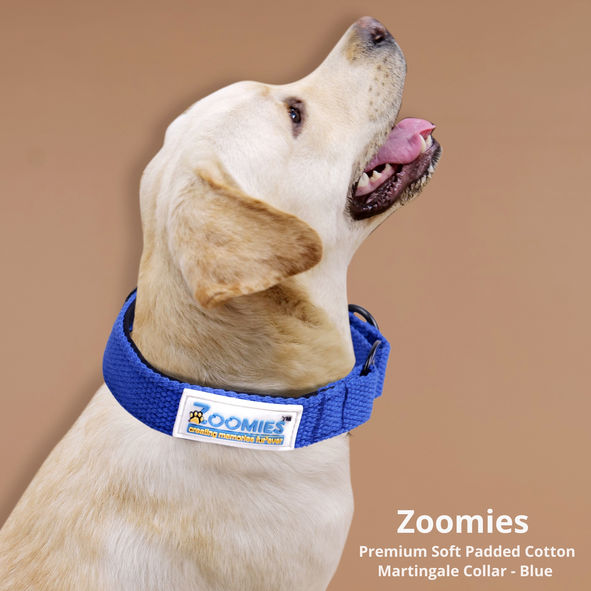 myzoomies-product-martingle-collar-blue-04