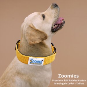 myzoomies-product-martingle-collar-yellow-04