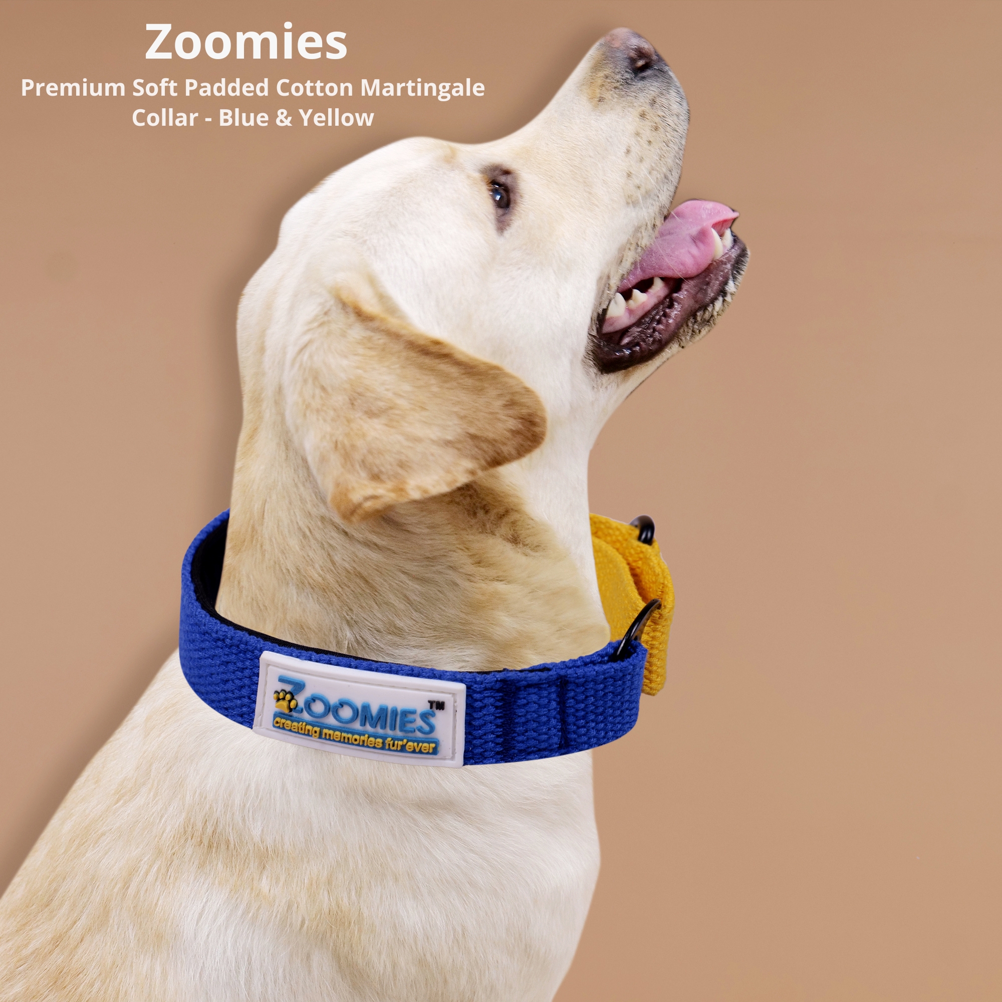 myzoomies-product-martingle-collar-blue-&-yellow-04