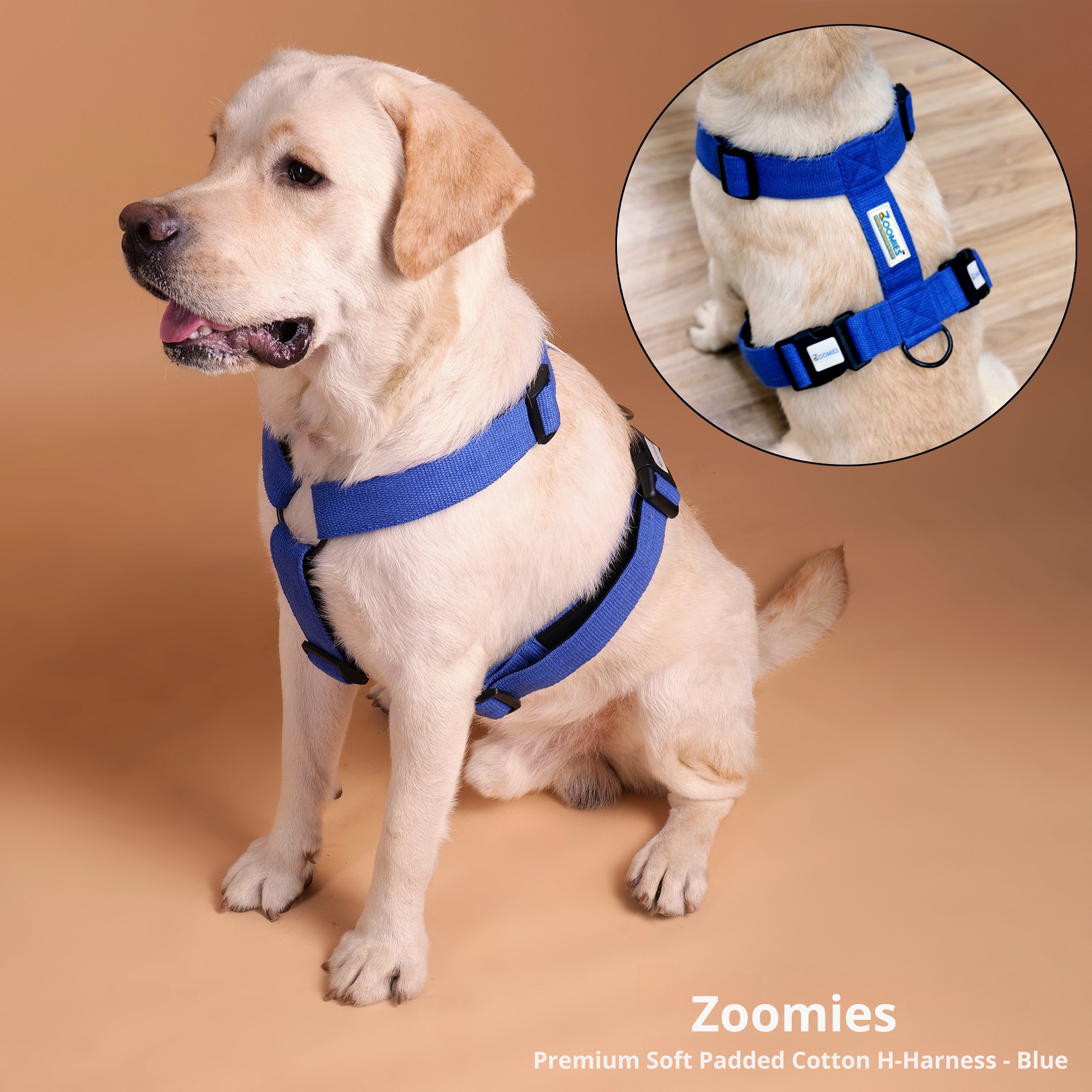 myzoomies-product-h-harness-blue-04
