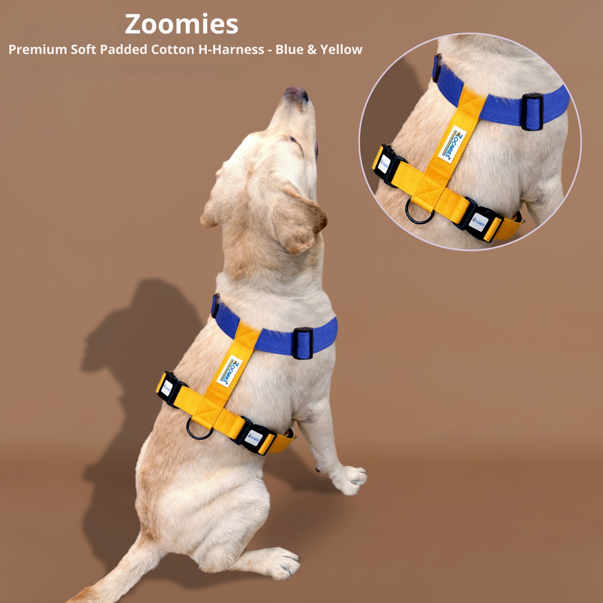 myzoomies-product-h-harness-blue-&-yellow-04