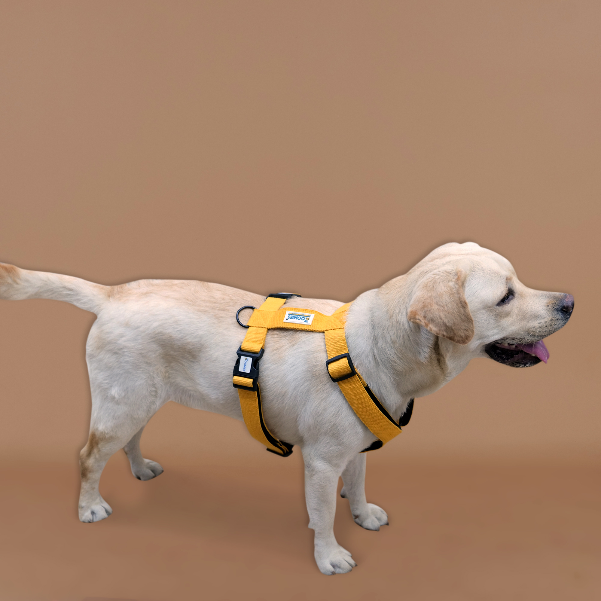 myzoomies-product-h-harness-yellow-03