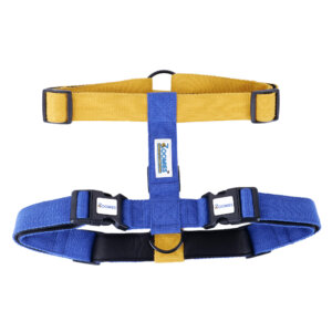 Zoomies Premium Soft Padded Cotton H - Harness - Yellow & Blue