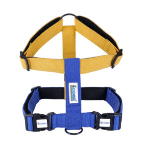 H-Harness