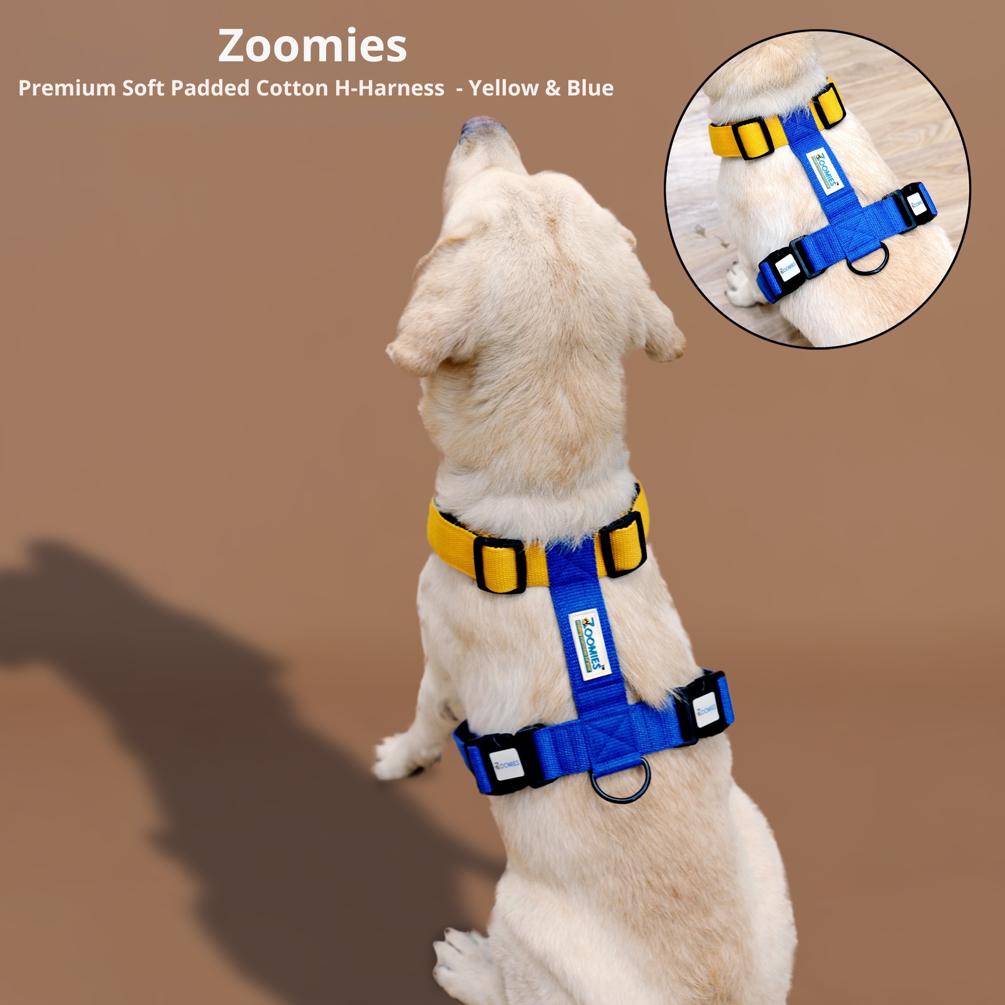 myzoomies-product-h-harness-yellow-&-blue-04