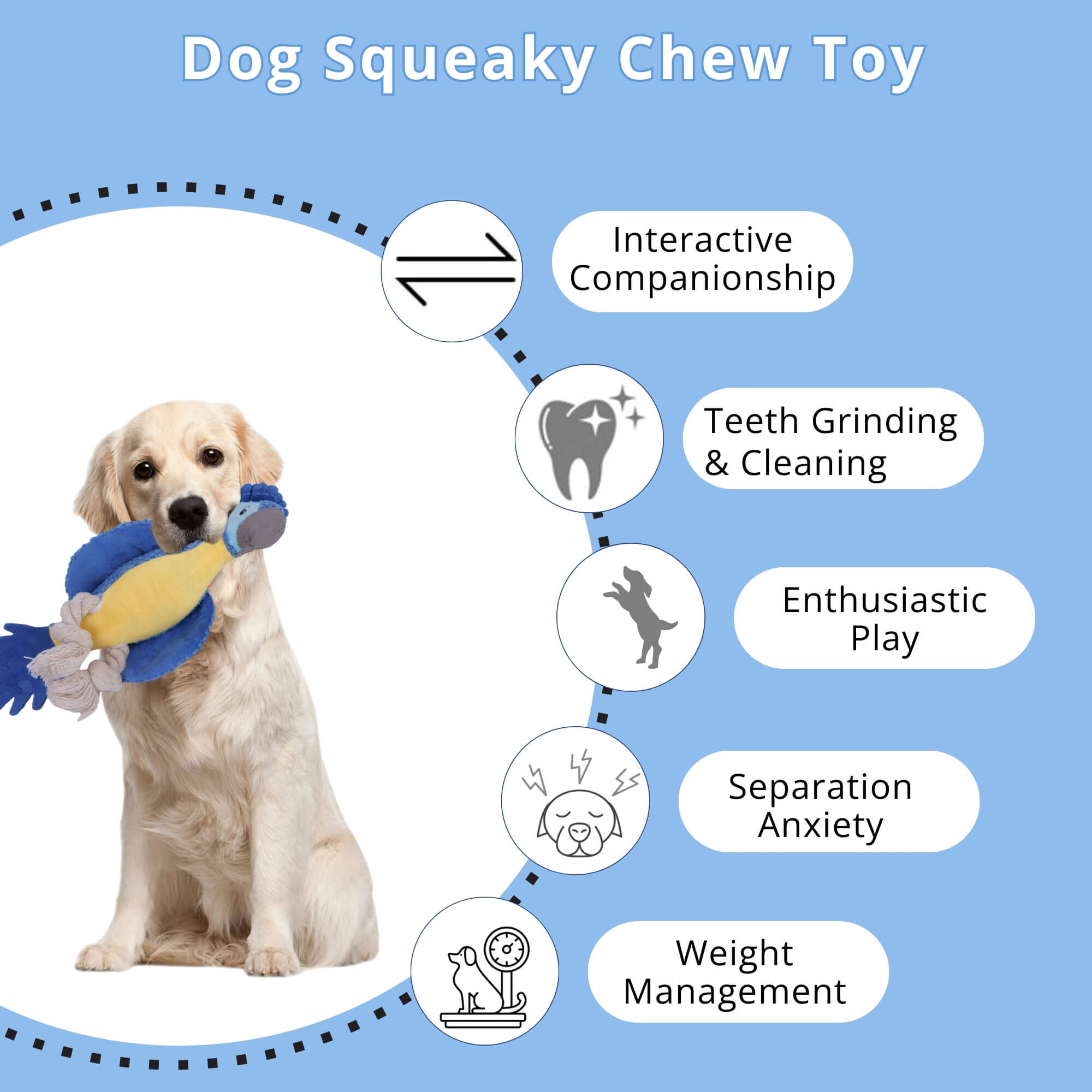 zoomies-product-zoomies-pet-parrot-image-06