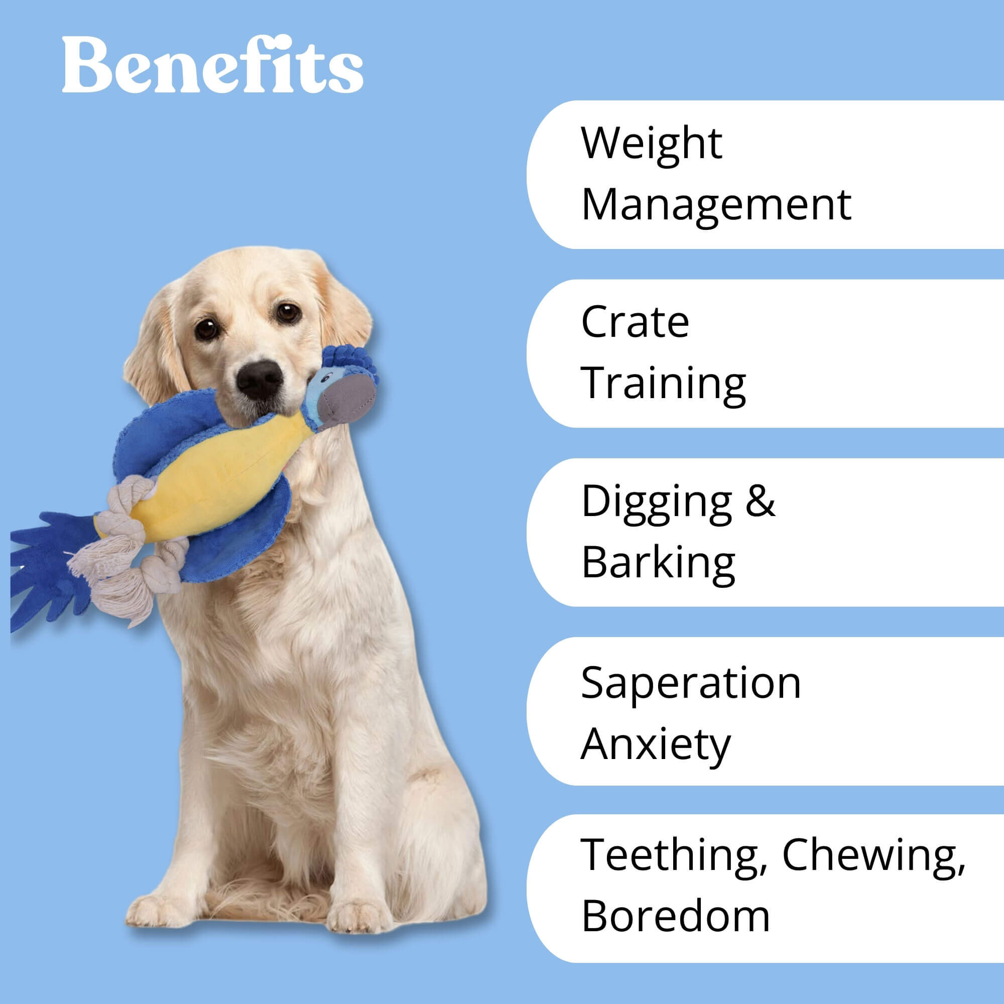 zoomies-product-zoomies-pet-parrot-image-07