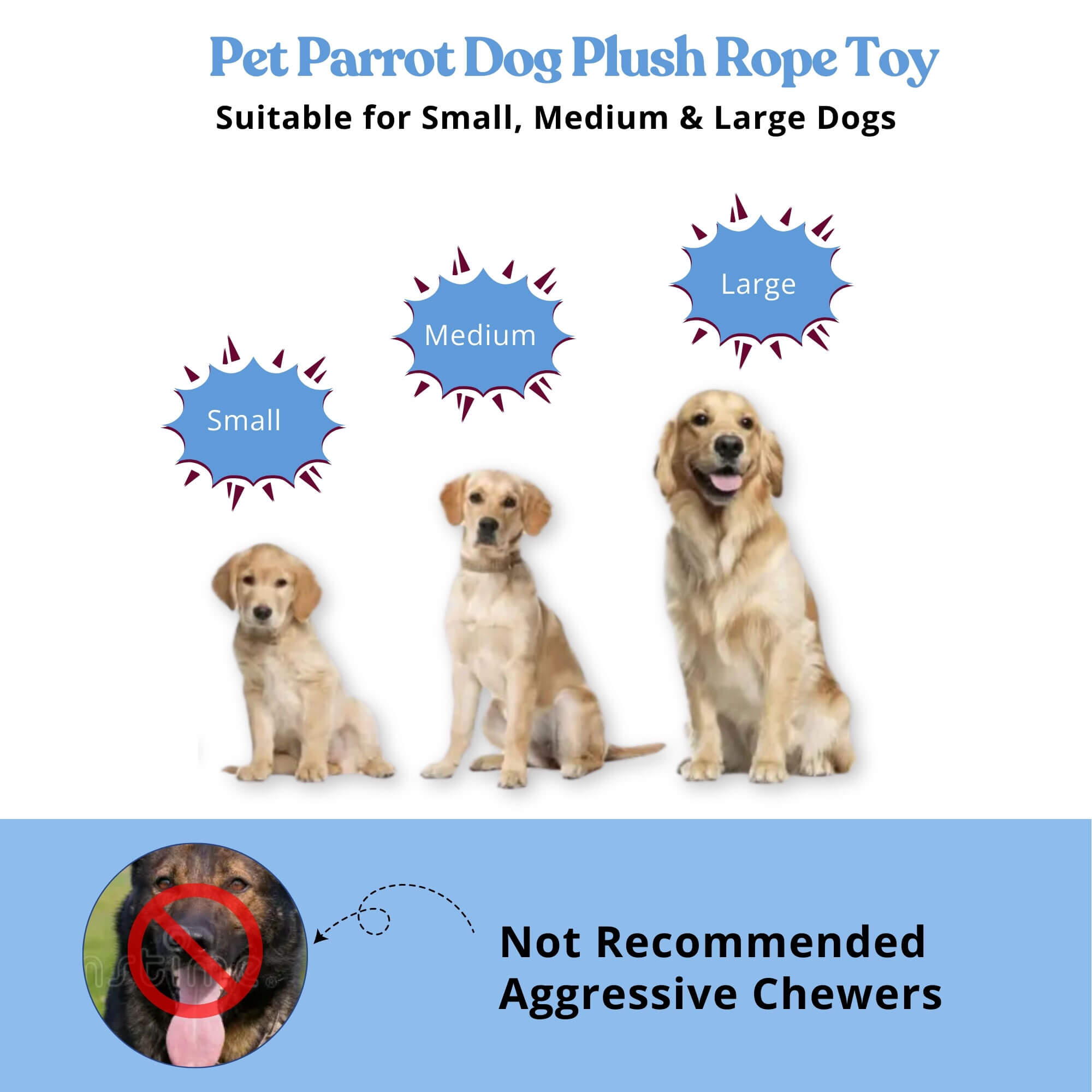 zoomies-product-zoomies-pet-parrot-image-08