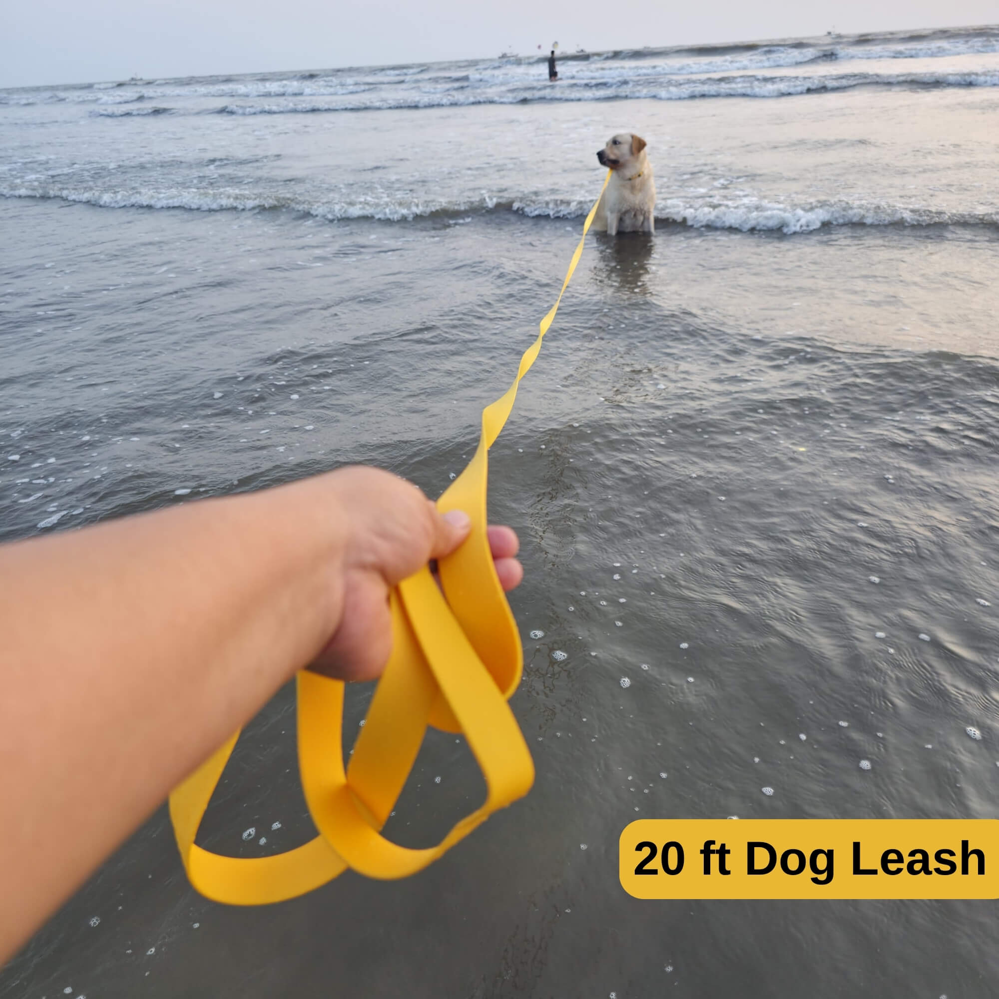 zoomies-Yellow Leash 20 ft-06
