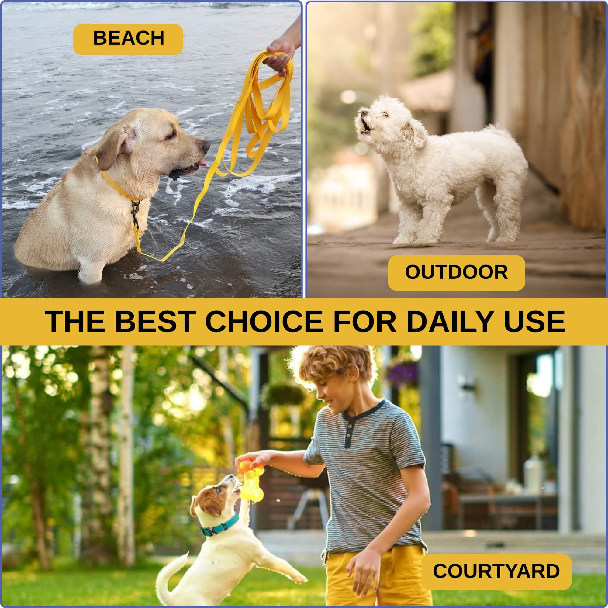 zoomies-Yellow Leash 20 ft-07