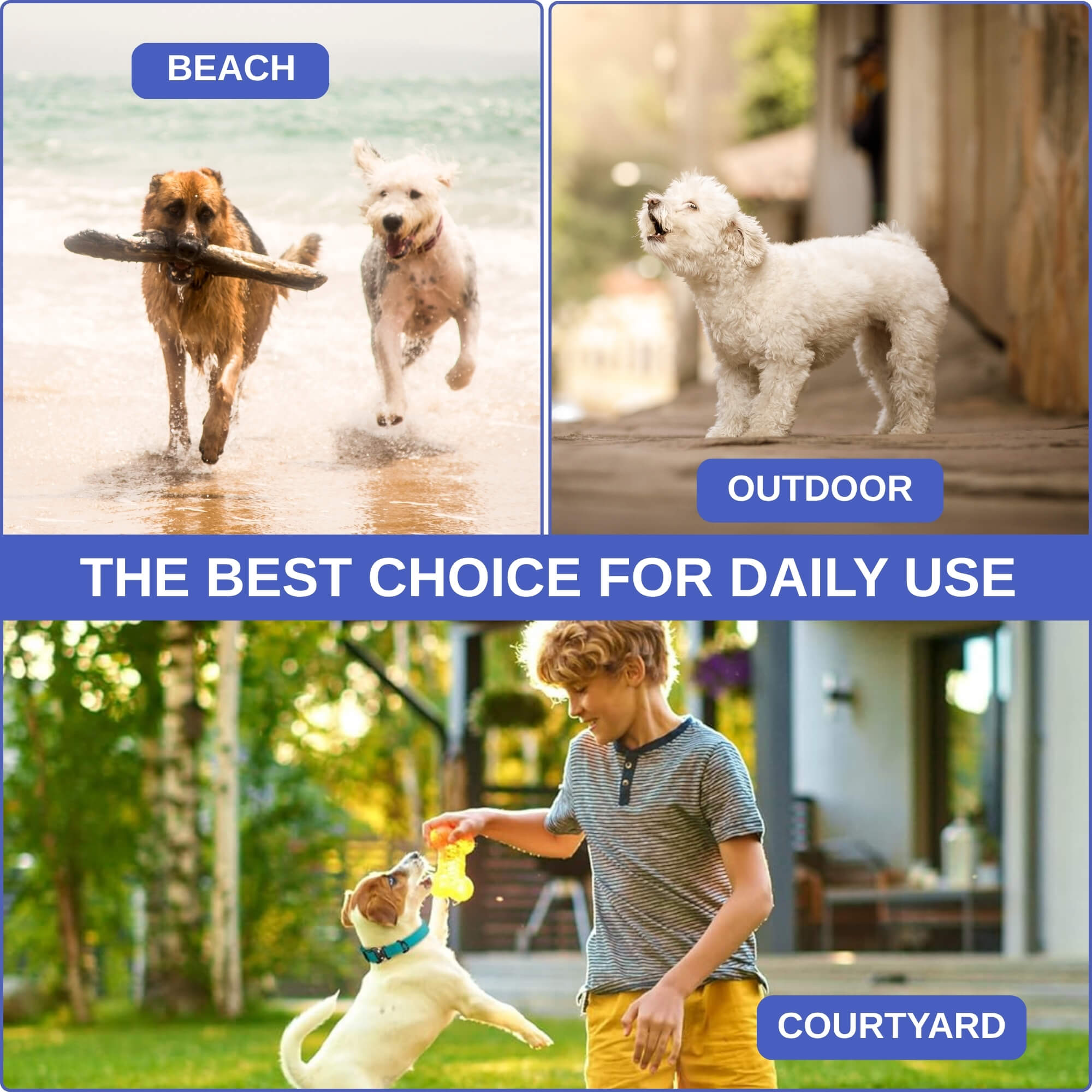 zoomies-blue-leash-07