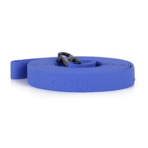Zoomies 20ft Biothane Dog Leash - Blue