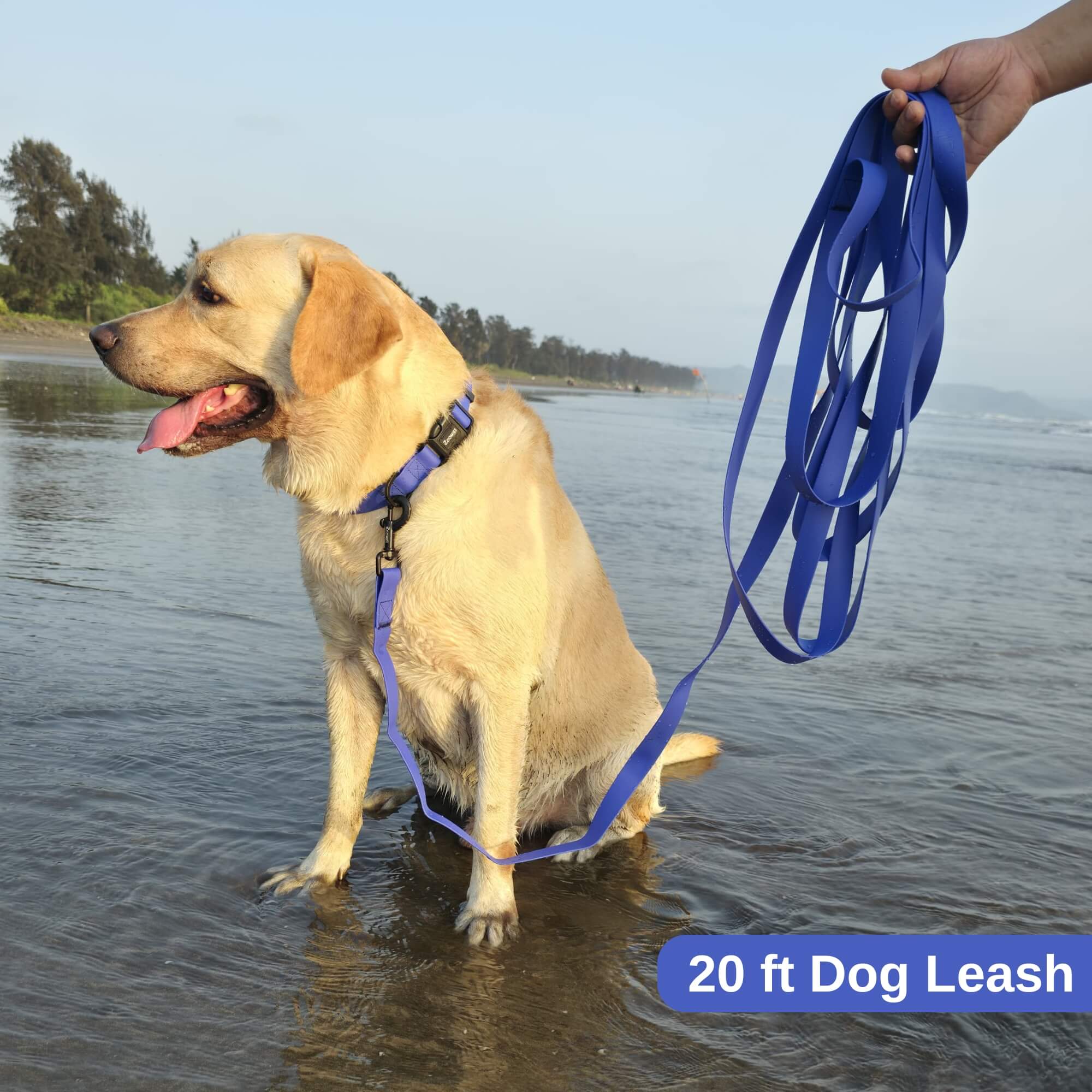zoomies-blue-leash-20ft-05