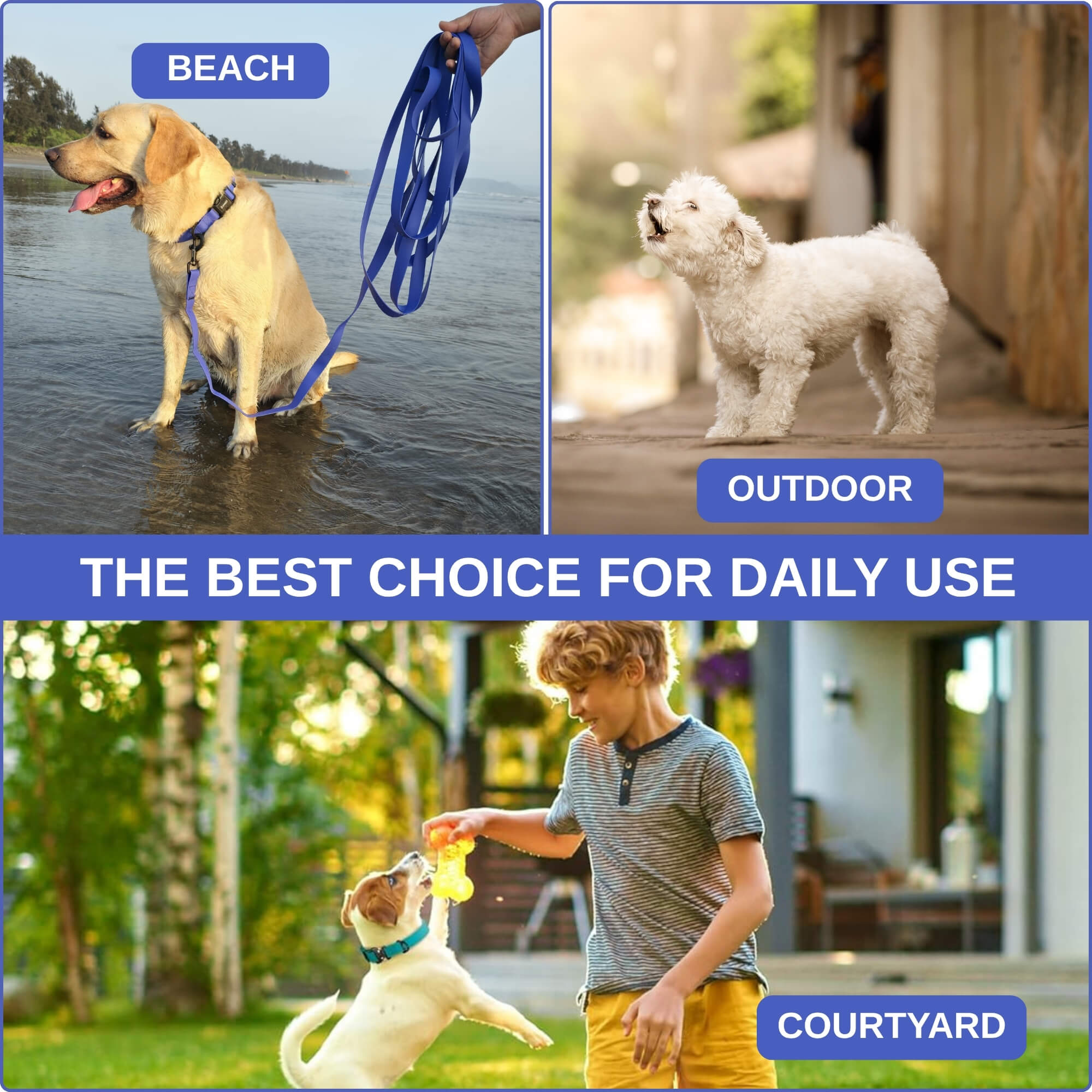 zoomies-blue-leash-20ft-07