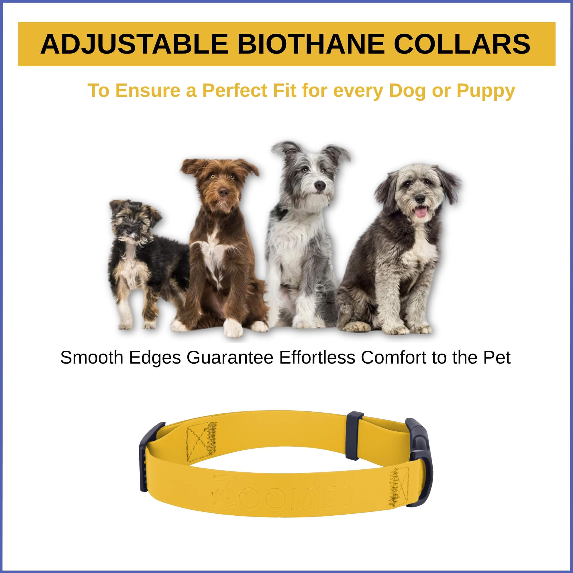 zoomies-yellow--collar-00