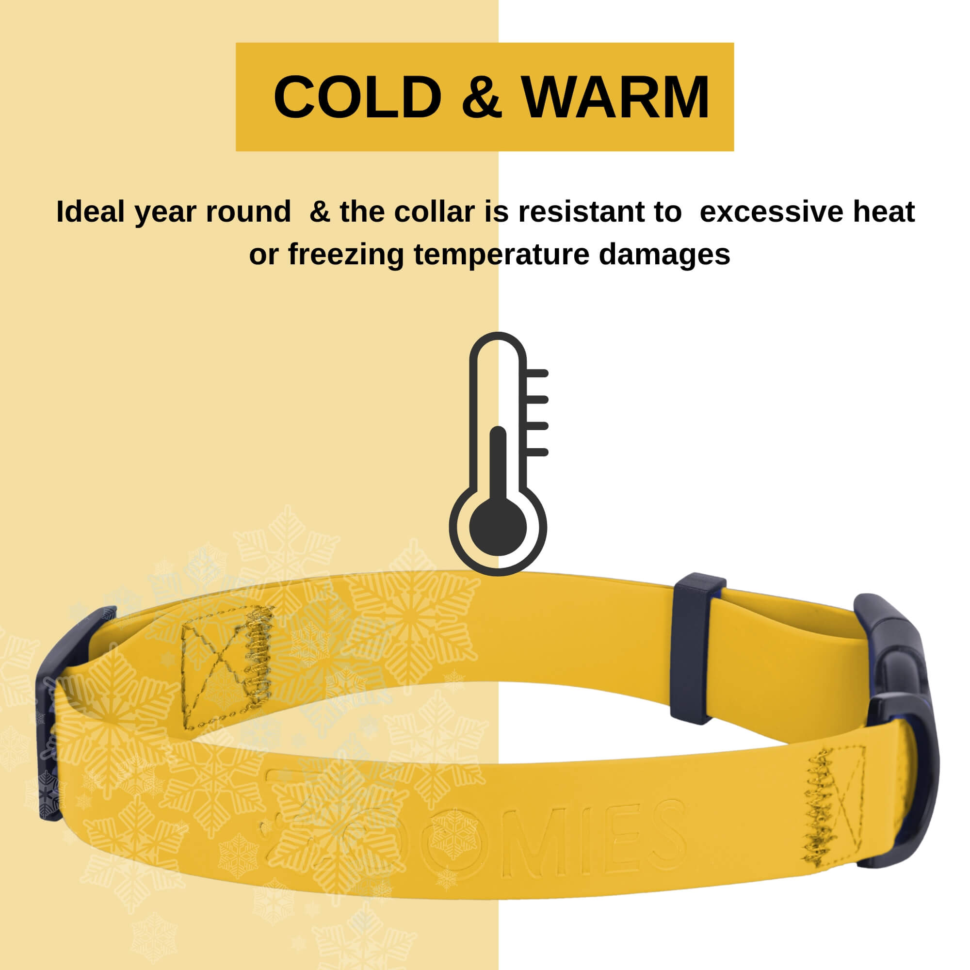 zoomies-yellow--collar-04