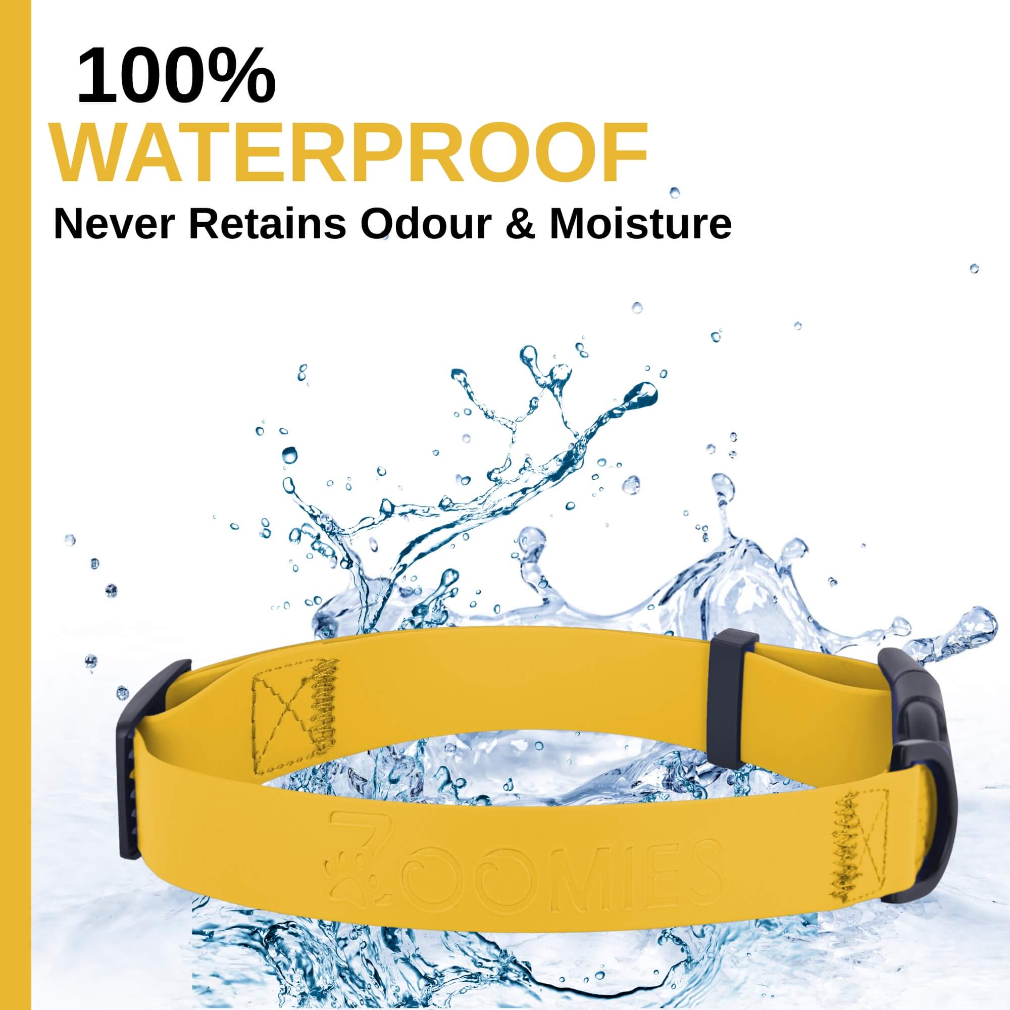 zoomies-yellow--collar-06