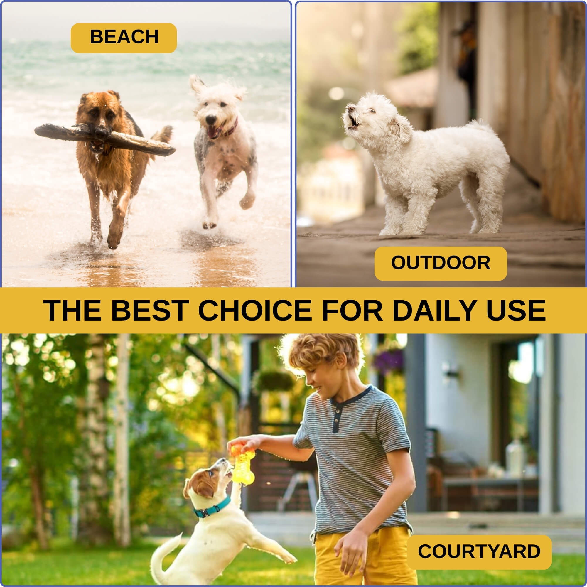 zoomies-yellow--collar-08