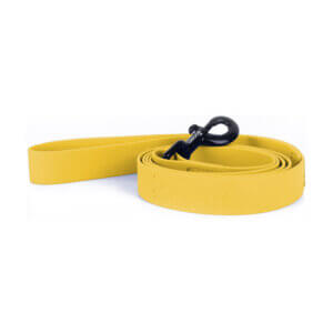 Zoomies 5ft Biothane Dog Leash - Yellow