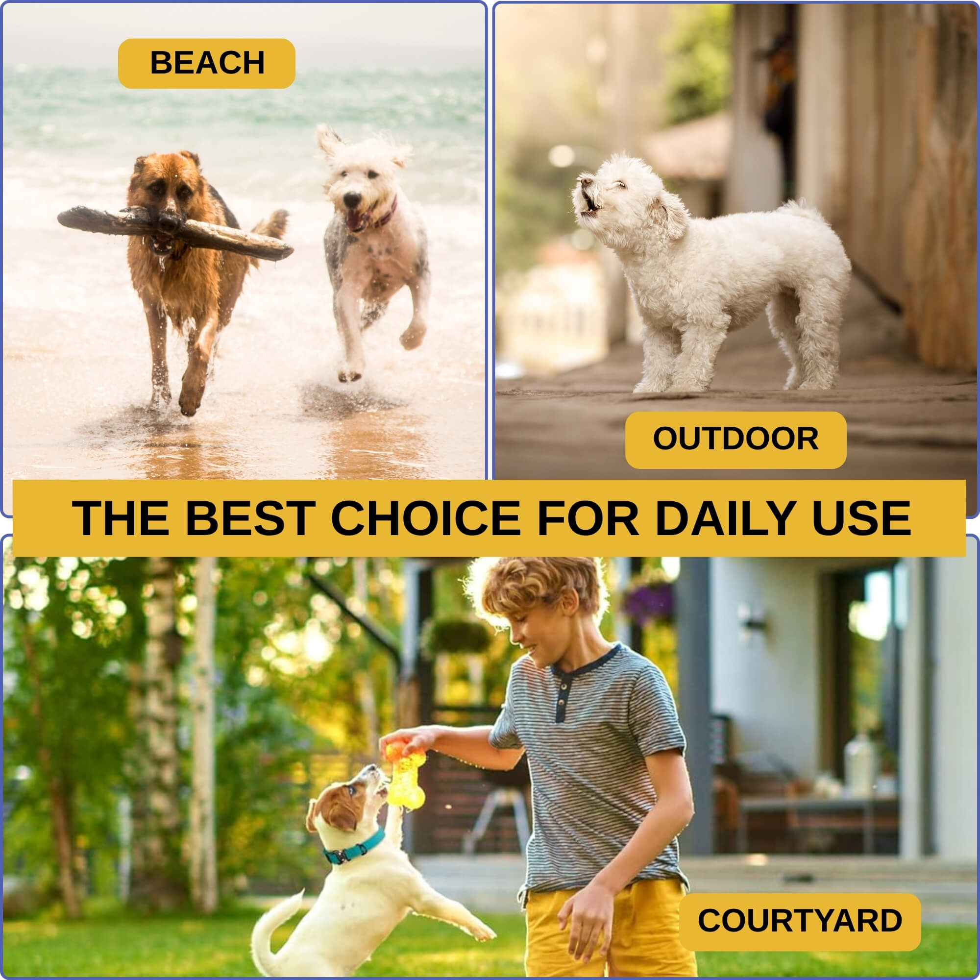 zoomies-yellow-leash-07